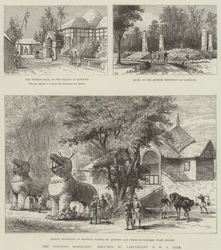 Die Manipur-Massaker